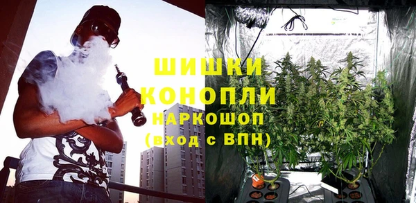 шишки Богородицк