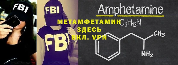 шишки Богородицк