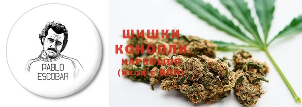 шишки Богородицк