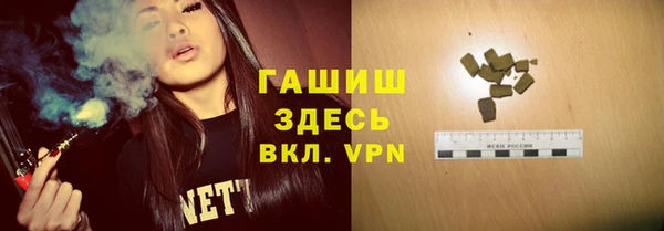 шишки Богородицк