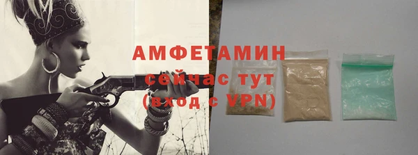 шишки Богородицк