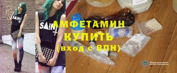 шишки Богородицк