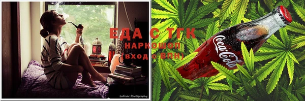 шишки Богородицк