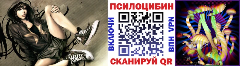 как найти наркотики  Дегтярск  Галлюциногенные грибы мицелий 